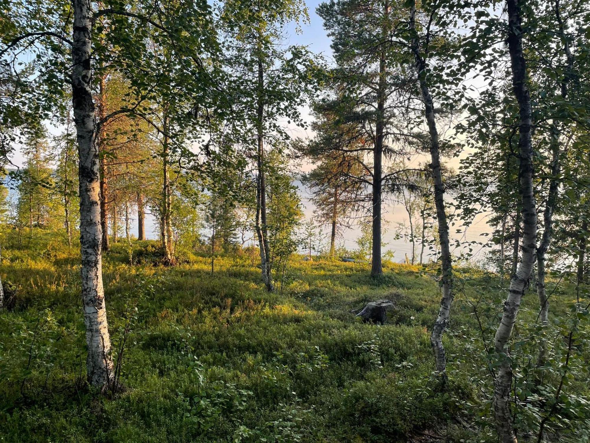 Lapland Dream Villas Rauhala Eksteriør billede