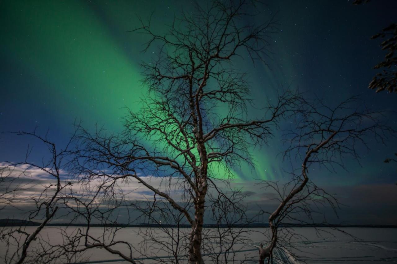 Lapland Dream Villas Rauhala Eksteriør billede
