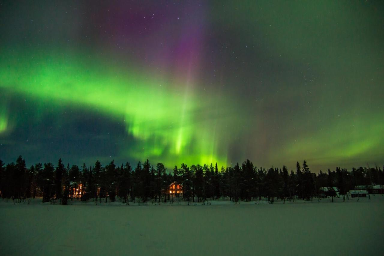 Lapland Dream Villas Rauhala Eksteriør billede