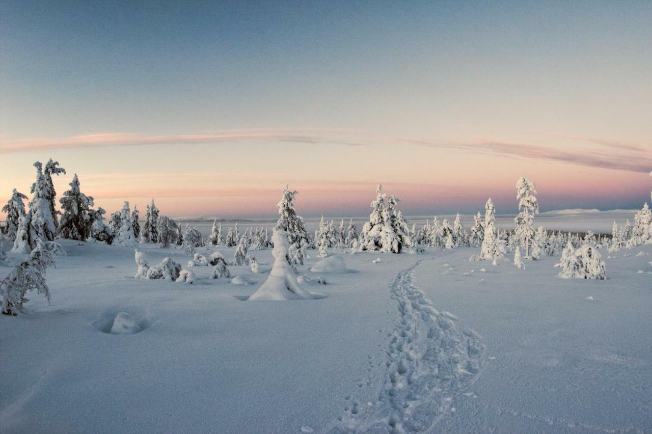 Lapland Dream Villas Rauhala Eksteriør billede